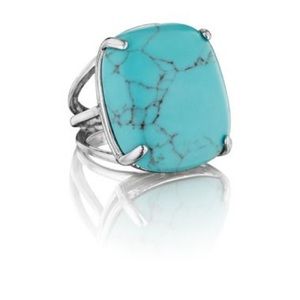 Chloe & Isabel Turquoise Statement Ring